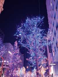 日本🇯🇵 大阪｜御堂筋大街超美燈飾裝置🎄❄️