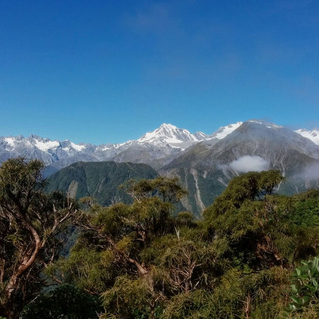 Conquer the Heights: Hiking the Alex Knob Track🏞️🥾