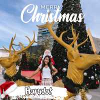 Harudot Cafe จัดเต็มคริสต์มาสสวยกลางเมืองชลบุรี