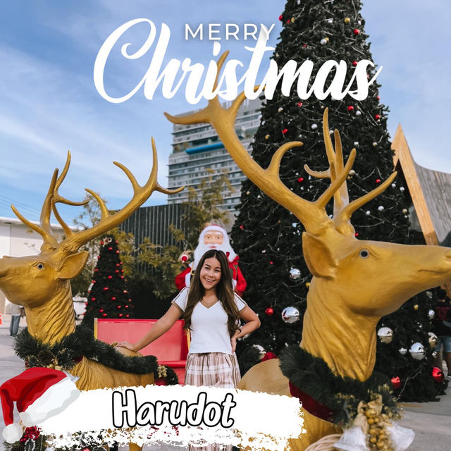 Harudot Cafe จัดเต็มคริสต์มาสสวยกลางเมืองชลบุรี