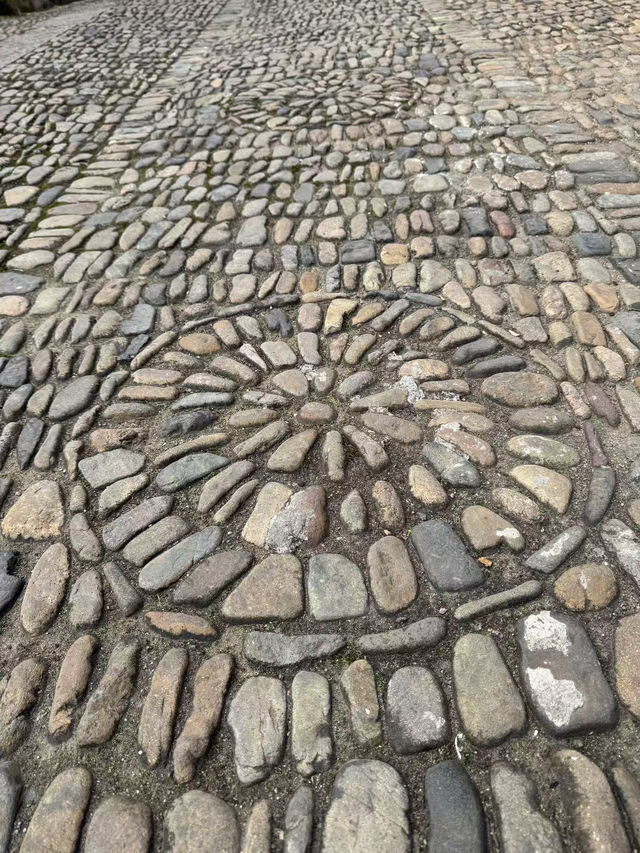 🌿 時光漫遊：嵊州市華堂村之旅 🏞️