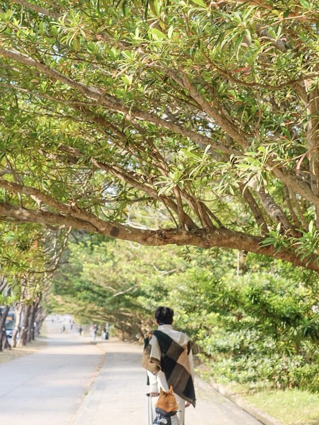 Discover Discovery Bay