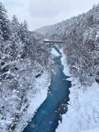 홋카이도 대표 관광지 코발트블루 흰수염폭포 ☃️💙