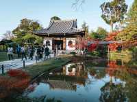 วัดโคไดจิ (Kodaiji Temple)