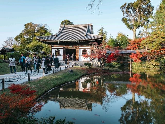 วัดโคไดจิ (Kodaiji Temple)