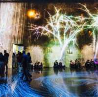teamLab Borderless: