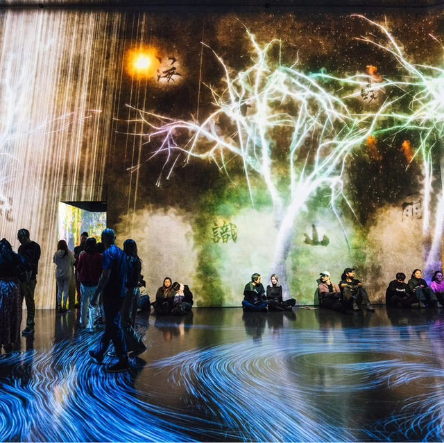 teamLab Borderless: