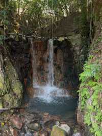 Beitou Thermal Valley: Stunning Views and Unique Hot Spring Delights