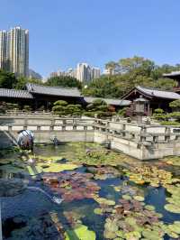 🌺🌼如世外桃源般的「志蓮淨苑」🪷🤩