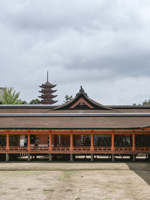 【広島】広島の絶景、厳島神社⛩️