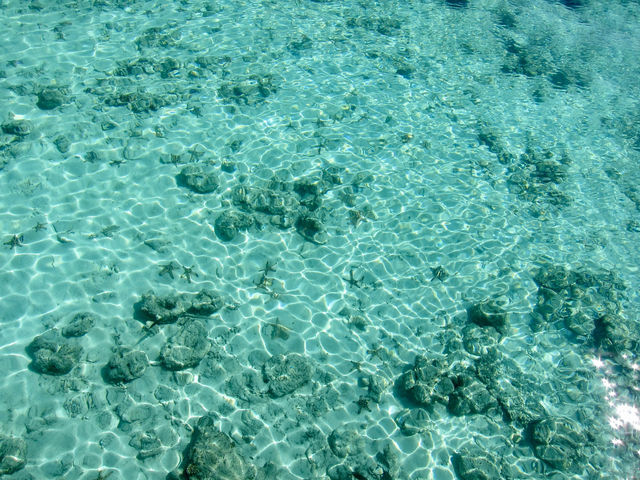 Luxury Meets Nature in the Heart of the Celebes Sea: Mabul Water Bungalows