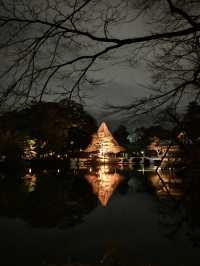 【石川】兼六園の夜間ライトアップ✨美しい雪吊り