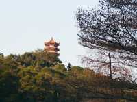 Xianhu Botanical Park — Fairytale Views at the Fairy Lake