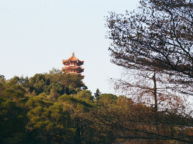 Xianhu Botanical Park — Fairytale Views at the Fairy Lake