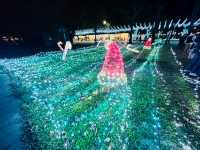 台東～鐵花燈之祭😍
