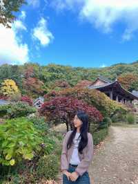 우리나라 최초의 목조건물 천년고찰 부석사!