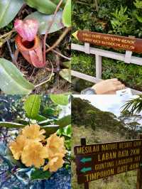 A Tranquil Haven Above the Clouds: Sutera Sanctuary Lodges’ Laban Rata 