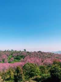 ภูลมโล (อุทยานภูหินร่องกล้า)