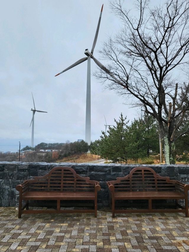 영덕여행코스로 추천하는 오션뷰공원