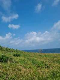 제주도 속의 섬 차귀도여행🏞