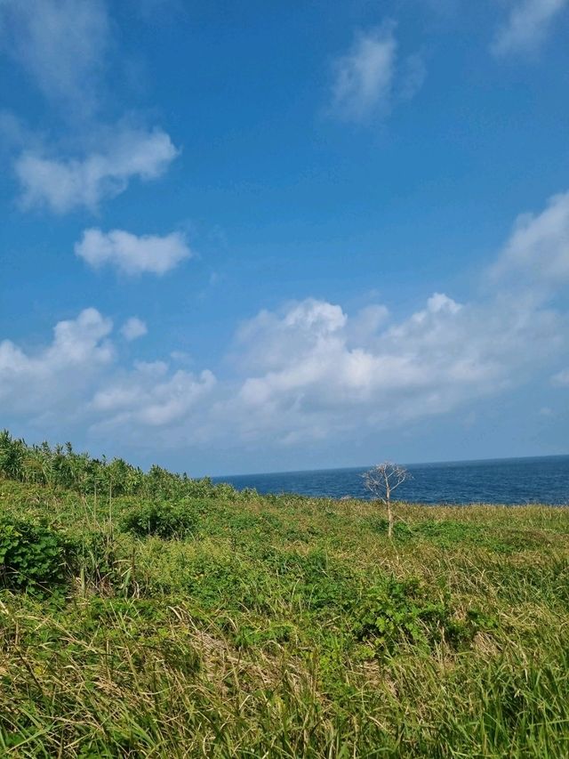 제주도 속의 섬 차귀도여행🏞