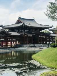 宇治｜欲知極樂必拜宇治御寺 平安時代的人間淨土-平等院