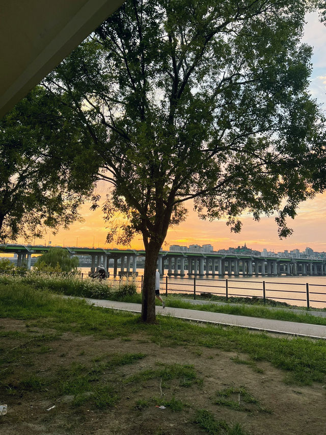 สวน Jamwon Hangang Park