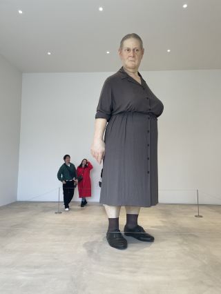 In the Cold Winter, Find Warmth in Art at Towada Modern Art Museum