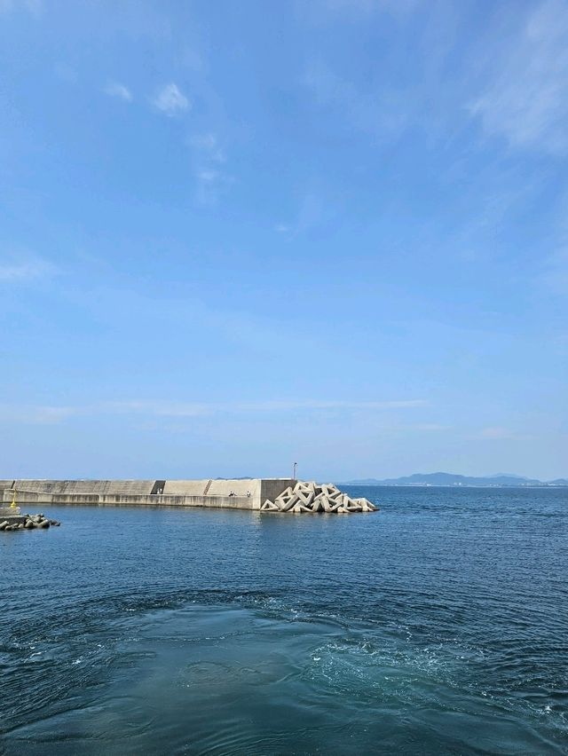 신구항에서 시작하는 아이노시마 여행⛴️🐱