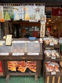 🇯🇵東京特色尋寶之地 – 巢鴨🪿地藏通商店街
