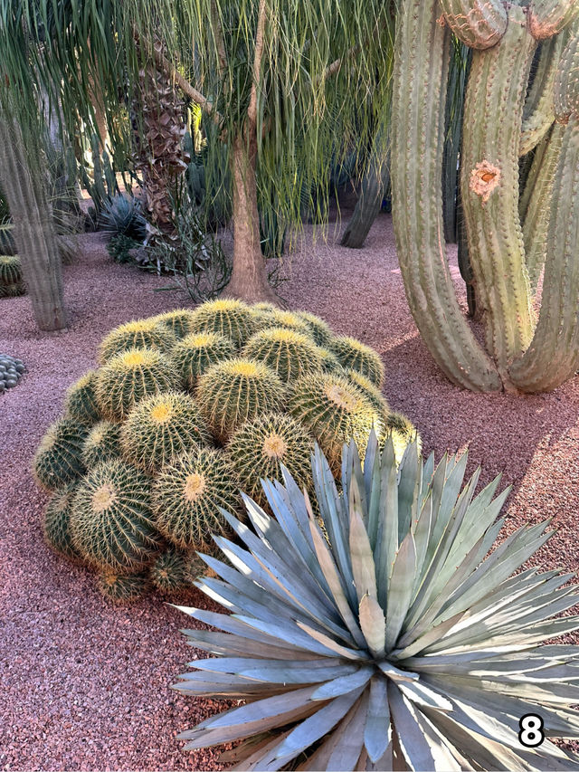 🇲🇦マラケシュ　マジョレル庭園