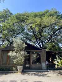 คาเฟ่บ้านไม้ บรรยากาศอบอุ่น ที่สระบุรี 🍃🌳