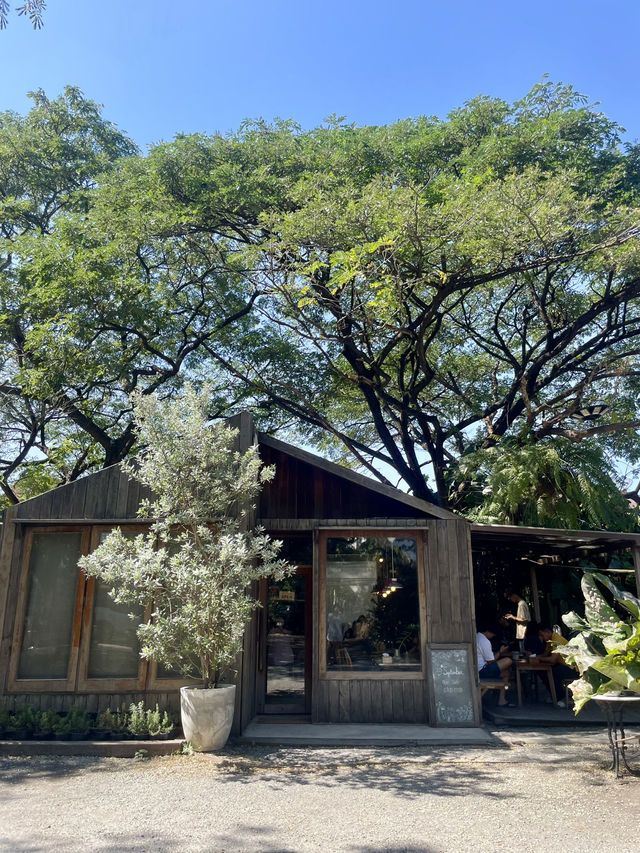 คาเฟ่บ้านไม้ บรรยากาศอบอุ่น ที่สระบุรี 🍃🌳