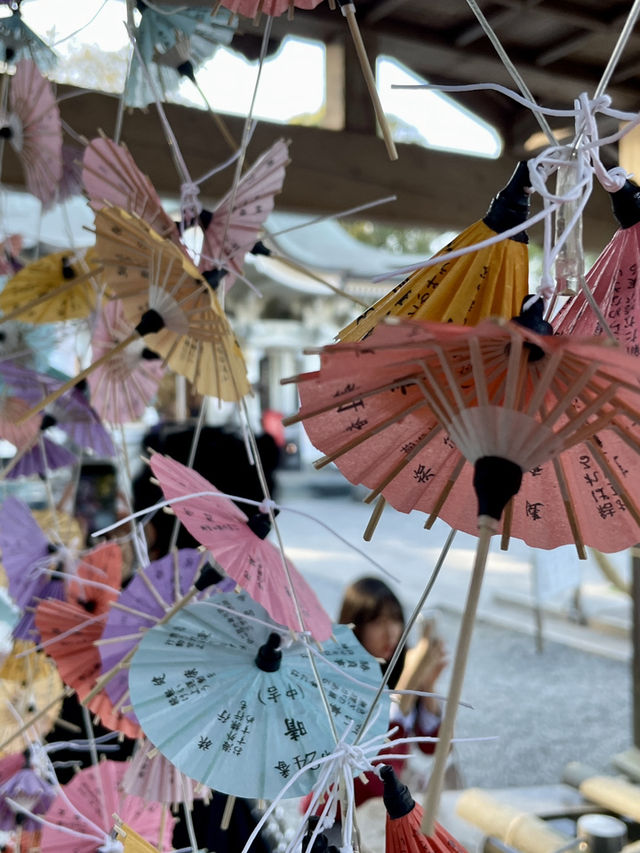 佐賀｜三千年神木跟茅之輪除厄 溫泉鄉武雄神社求愛情傘簽