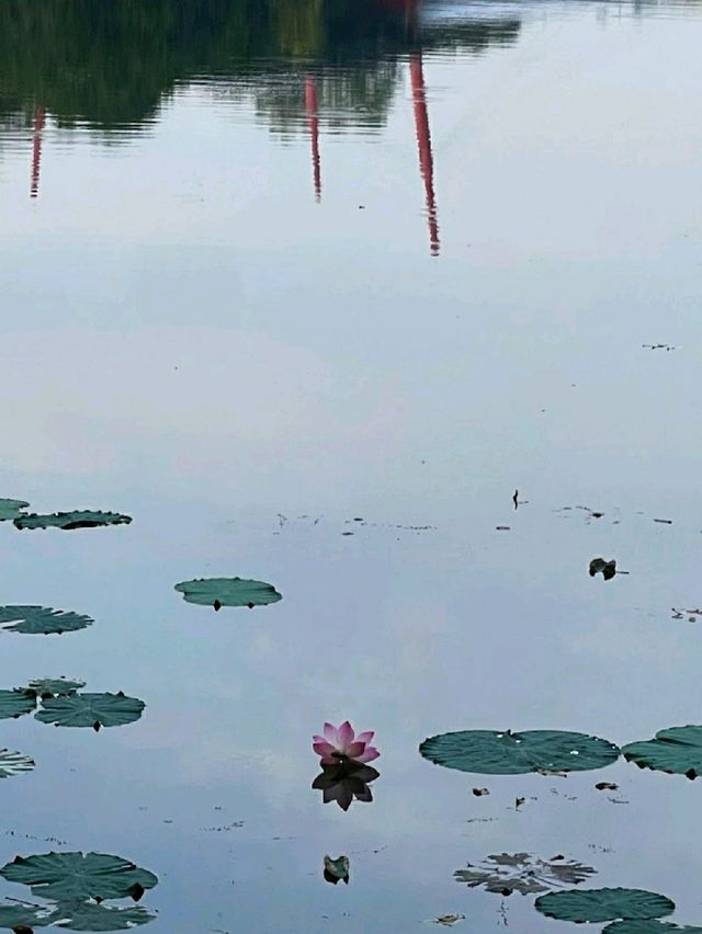 HIDDEN GEM IN CYBERJAYA.