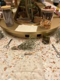 Six Senses Rome: A Sustainable Sanctuary in the Heart of the Eternal City 