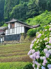 新宮あじさいの里