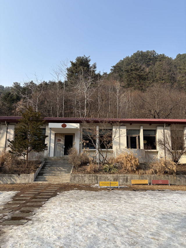 춘천 여행 코스: 학교를 개조하여 감성 카페로 태어난 ‘오월학교’🤎