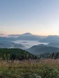 【大分県/由布市】見れる時期は数ヶ月！幻の雲海！？