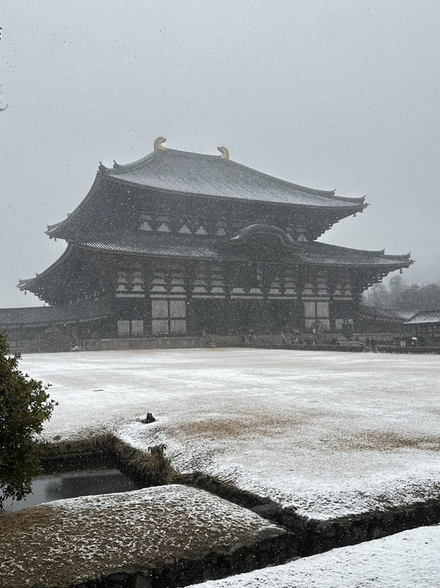 Kyoto 2 Days Travel Guide 