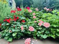 四季都可以賞花的Flower dome