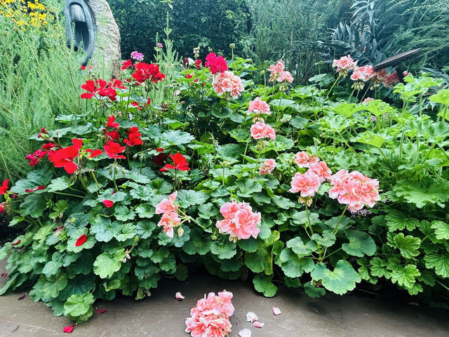 四季都可以賞花的Flower dome