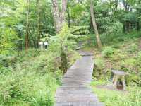 【神奈川・ポーラ美術館】森の遊歩道でアート探し🌳🎨