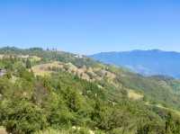 Where Nature and Culture Meet: Qingjing Farm