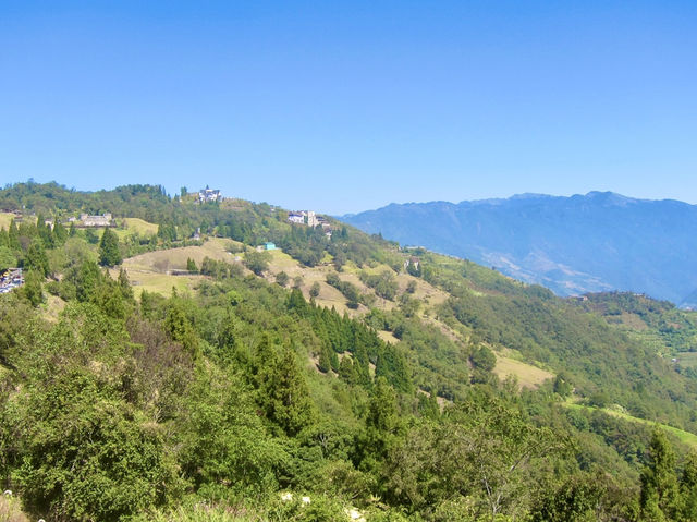 Where Nature and Culture Meet: Qingjing Farm
