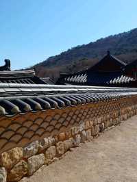 부산의 숨겨진 산속 사찰🌿🏯