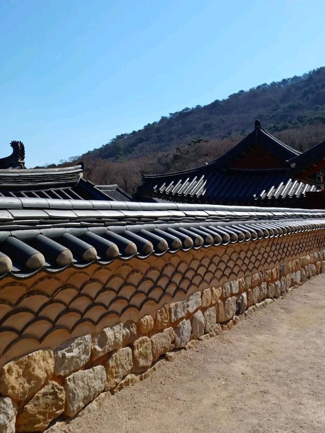 부산의 숨겨진 산속 사찰🌿🏯
