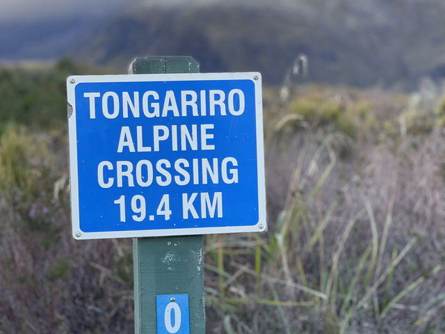 紐西蘭 Tongariro Alpine Crossing 健行攻略｜挑戰世界級火山步道