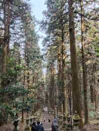 幽靜樹林裡簡樸的上色見熊野座神社