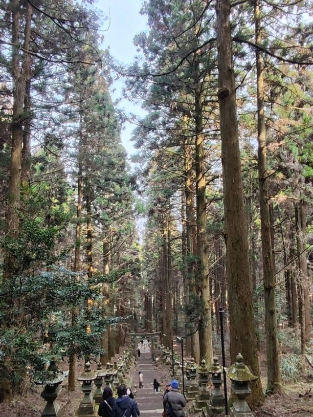幽靜樹林裡簡樸的上色見熊野座神社